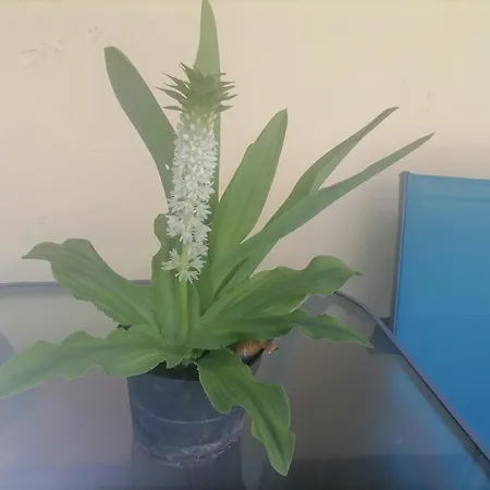 Boerzsoeny Kapuja Vendeghaz