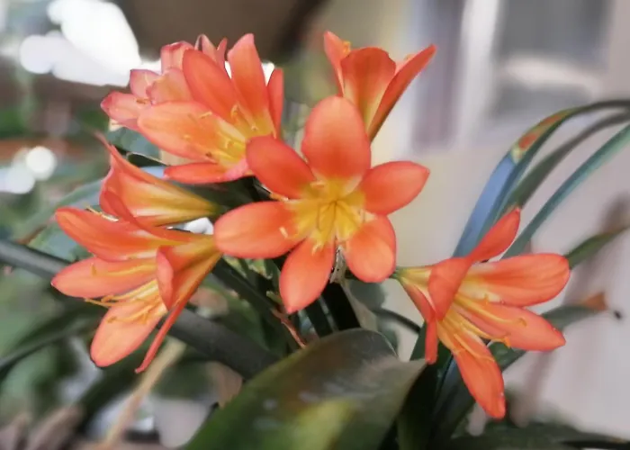 Vendégház Börzsönykapuja Vendégház