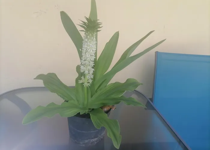 Börzsönykapuja Vendégház