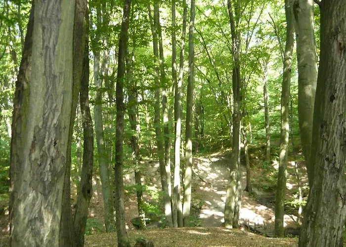 Vendégház Börzsönykapuja Vendégház Zebegény