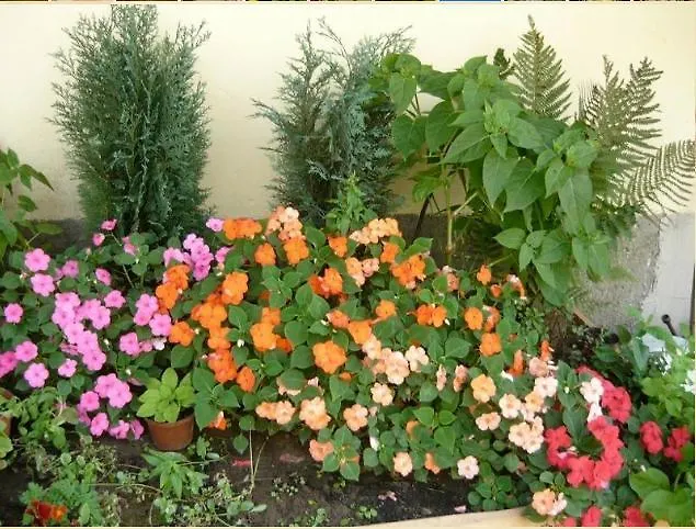 Vendégház Börzsönykapuja Vendégház *